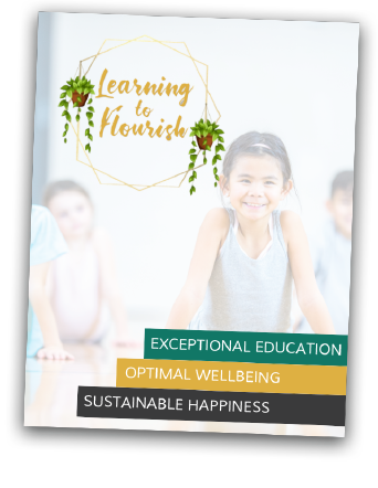 Program Guide Preview