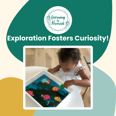 Preschool vs. Pre-Kindergarten: Similarities and Differences