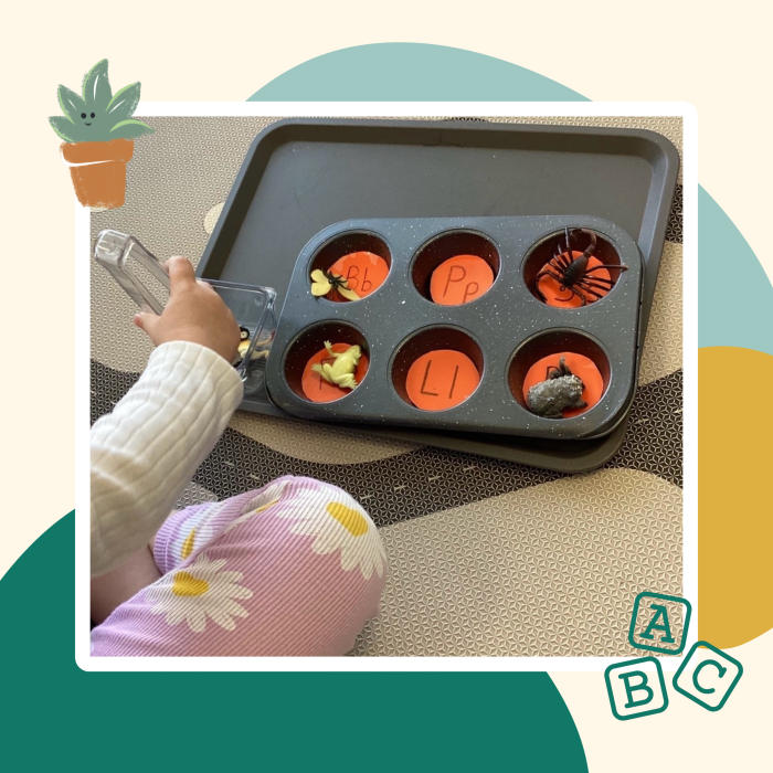 Preschool child sorting colorful objects in a muffin tin during a hands-on learning activity.